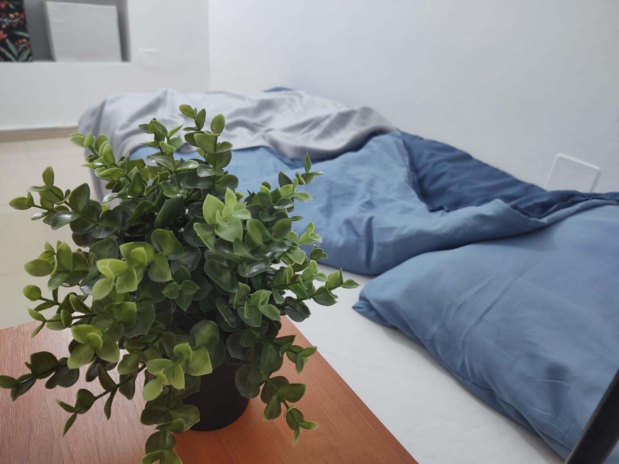 Central Retreat- Apartment Universitate Bukares Bagian luar foto
